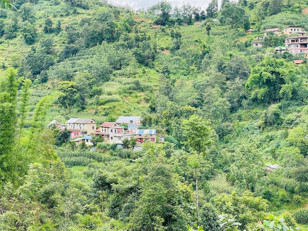 Basdol basnet gau
