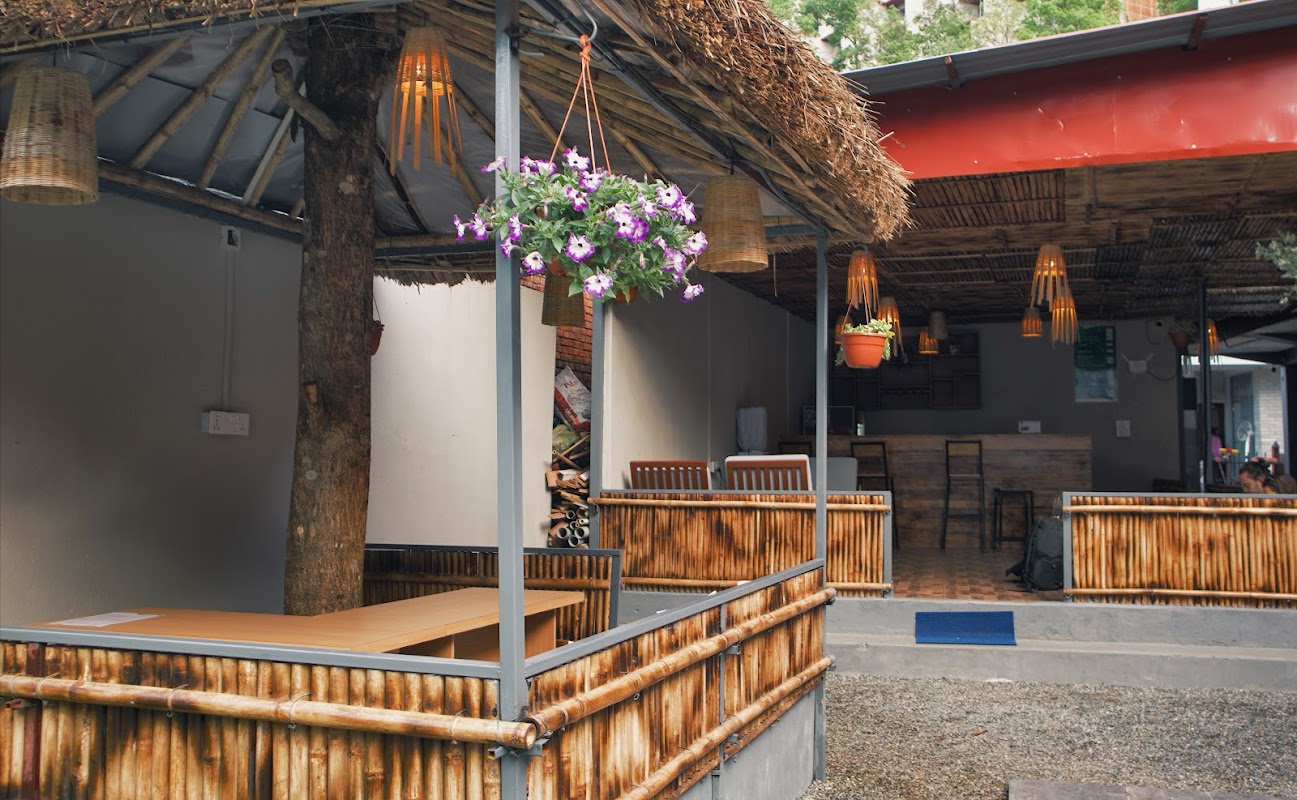 The Mango Tree- Backpackers Hostel