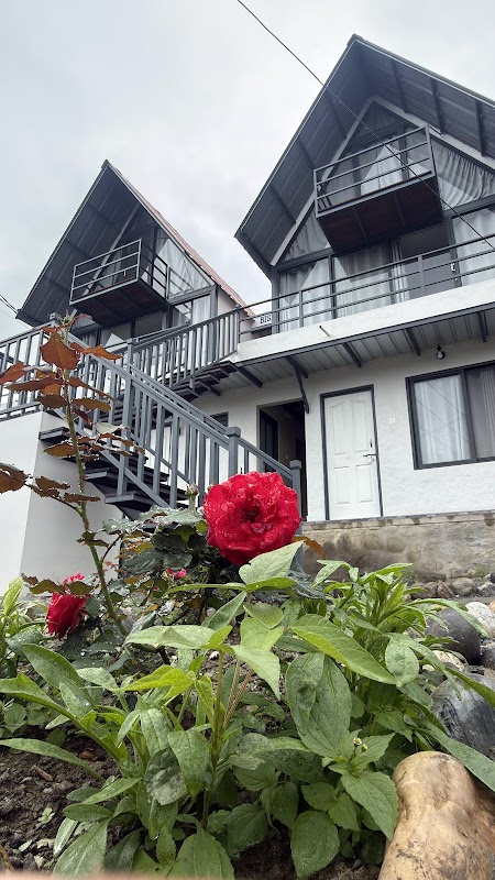 BISHRAM BACKPACKERS VILLA