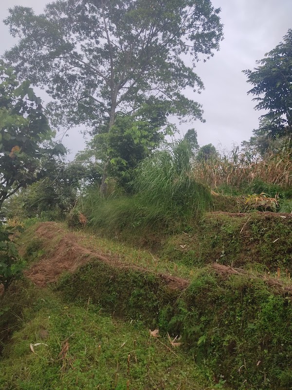 Chandra Bahadur Bogati home