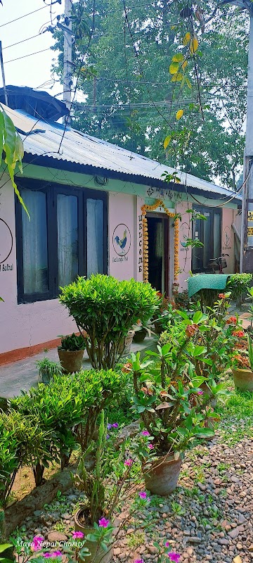 Crocodile Safari Camp
