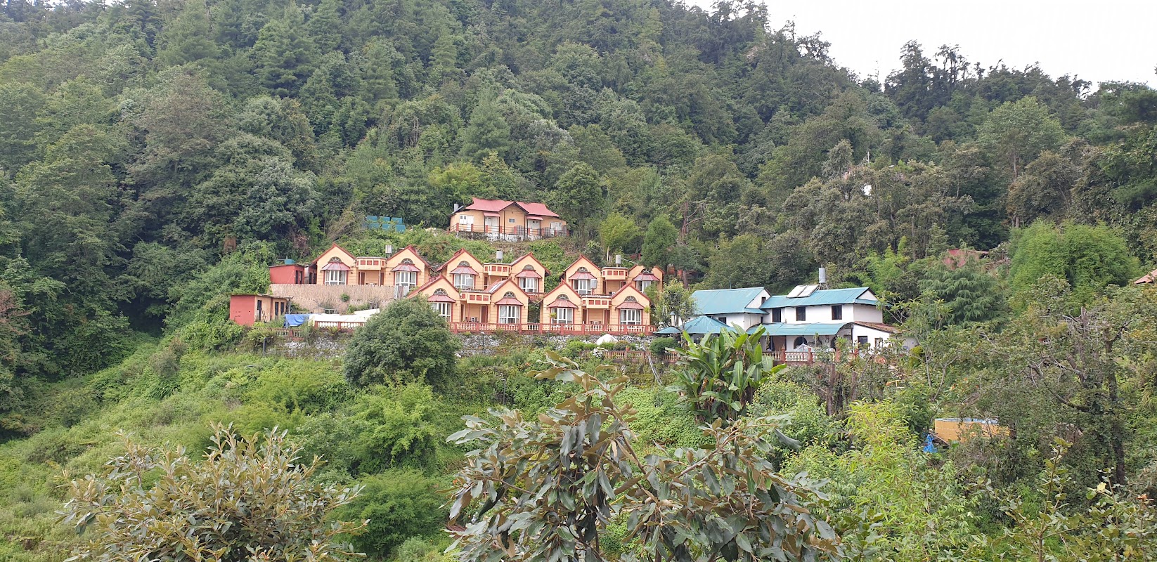 Daman Thakali Bhanchha Ghar and Lodge