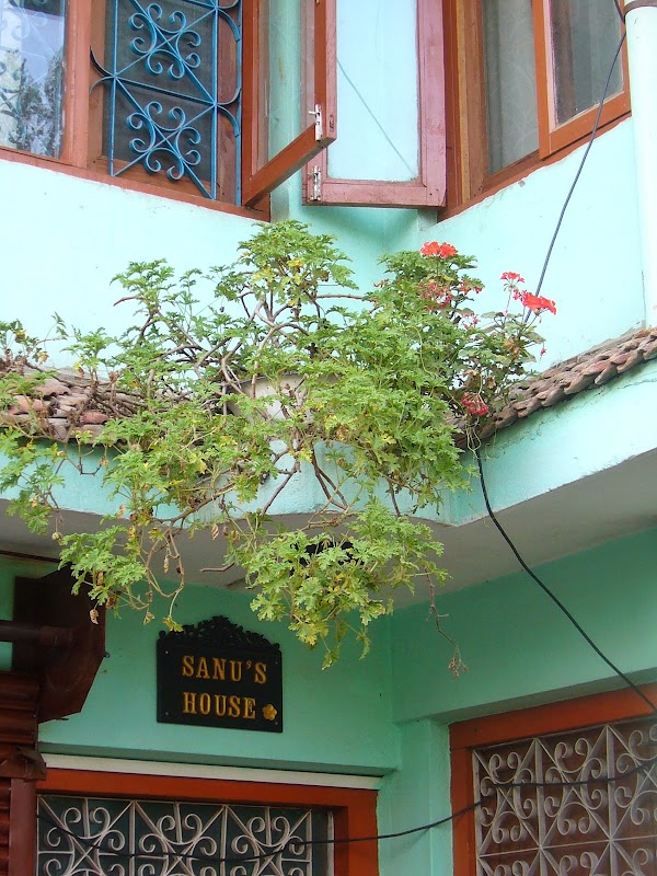 Sanu's House